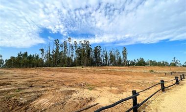 Parcela en Venta en Loteo Vista La Polcura, Sector Matanzas, Navidad