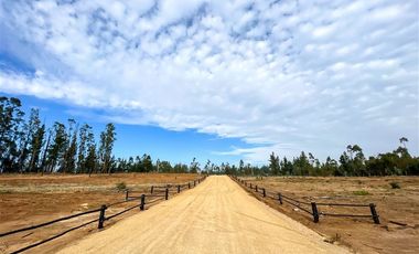 Parcela en Venta en Loteo Vista La Polcura, Sector Matanzas, Navidad