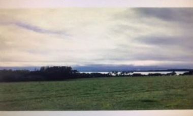 Agrícola en Venta en Ranco