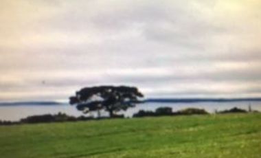 Agrícola en Venta en Ranco