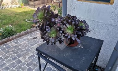 Casa en Venta en Renato Zanelli /Diego de Almagro