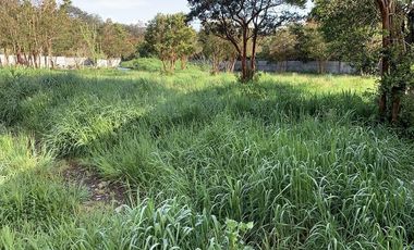 Casa en Venta en Torobayo