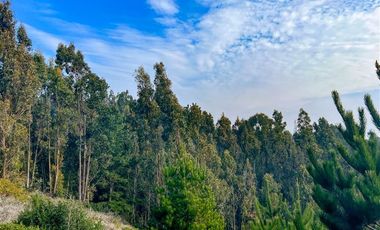 Sitio en Venta en Vista la Vega, Pupuya, Matanzas