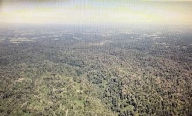 Agrícola en Venta en Futahuente