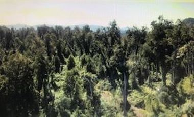 Agrícola en Venta en Futahuente