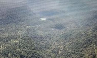 Agrícola en Venta en Futahuente