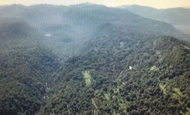 Agrícola en Venta en Futahuente