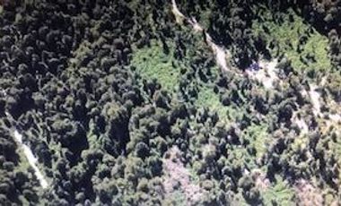 Agrícola en Venta en Futahuente