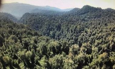 Agrícola en Venta en Futahuente