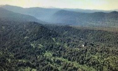 Agrícola en Venta en Futahuente