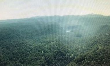 Agrícola en Venta en Futahuente