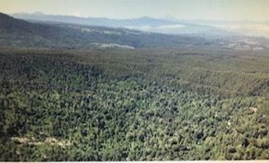 Agrícola en Venta en Futahuente