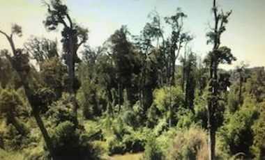 Agrícola en Venta en Futahuente