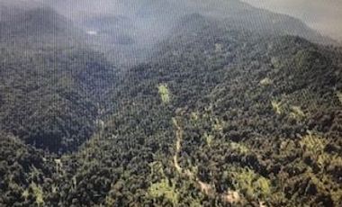 Agrícola en Venta en Futahuente