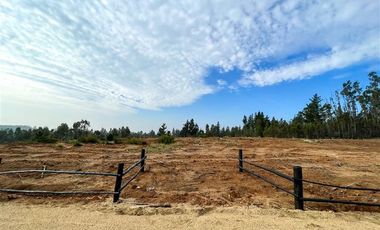 Terreno Construccion en Venta en Loteo Vista La Polcura, Sector Matanzas, Navidad