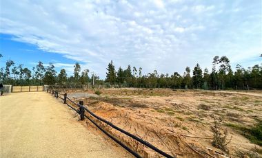 Terreno Construccion en Venta en Loteo Vista La Polcura, Sector Matanzas, Navidad