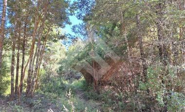 Parcela en Venta en Camino Subiabre