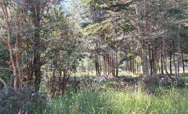 Parcela en Venta en Camino Subiabre