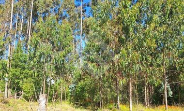 Parcela en Venta en Camino Subiabre