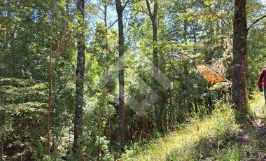 Parcela en Venta en Camino Subiabre