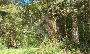 Parcela en Venta en Camino Subiabre