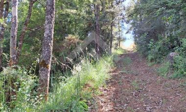 Parcela en Venta en Camino Subiabre