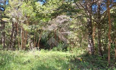 Parcela en Venta en Camino Subiabre