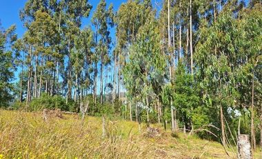 Parcela en Venta en Camino Subiabre