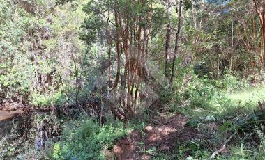 Parcela en Venta en Camino Subiabre