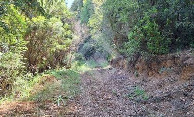 Parcela en Venta en Camino Subiabre