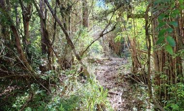 Parcela en Venta en Camino Subiabre