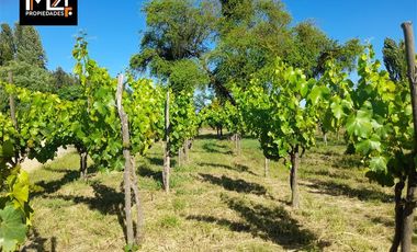 Parcela en Venta en Santa Ana