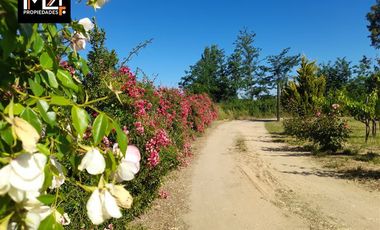 Parcela en Venta en Santa Ana