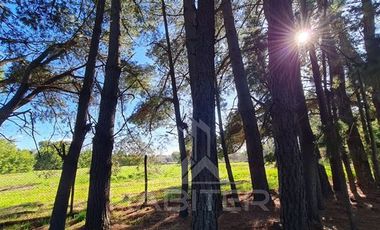 Parcela en Venta en Km. 8 Camino Nacimiento