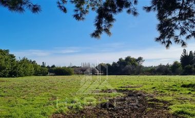 Parcela en Venta en Km. 8 Camino Nacimiento