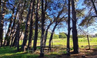 Parcela en Venta en Km. 8 Camino Nacimiento