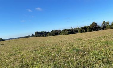 Agrícola en Venta en Fundo Mirador - Los Muermos