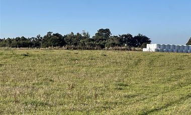 Agrícola en Venta en Fundo Mirador - Los Muermos