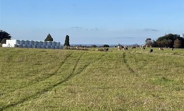 Agrícola en Venta en Fundo Mirador - Los Muermos