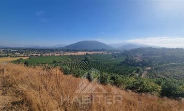 Agrícola en Venta en Chepica