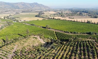 Agrícola en Venta en Chepica