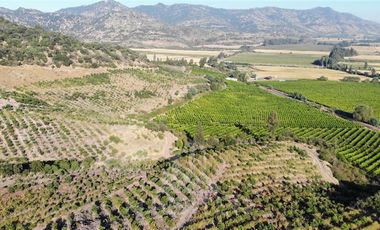 Agrícola en Venta en Chepica