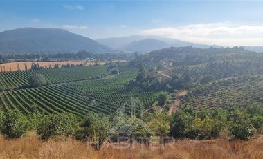 Agrícola en Venta en Chepica