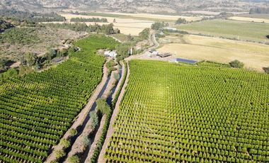 Agrícola en Venta en Chepica