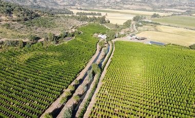 Agrícola en Venta en Chepica