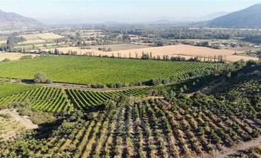 Agrícola en Venta en Chepica