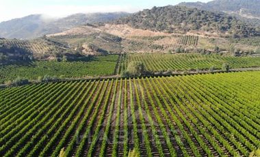 Agrícola en Venta en Chepica