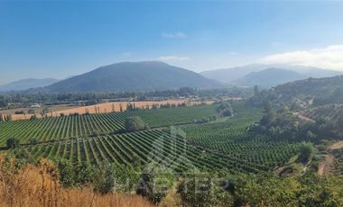 Agrícola en Venta en Chepica