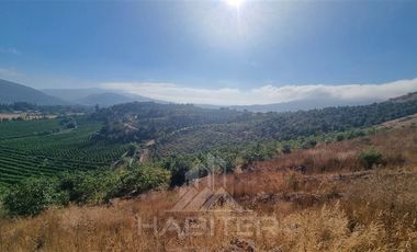 Agrícola en Venta en Chepica