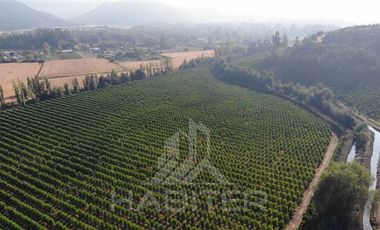 Agrícola en Venta en Chepica